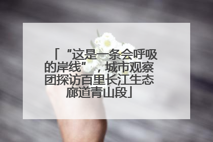 “这是一条会呼吸的岸线”，城市观察团探访百里长江生态廊道青山段