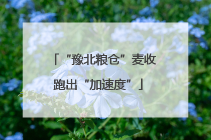 “豫北粮仓”麦收跑出“加速度”
