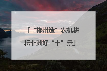 “郴州造”农机耕耘非洲好“丰”景