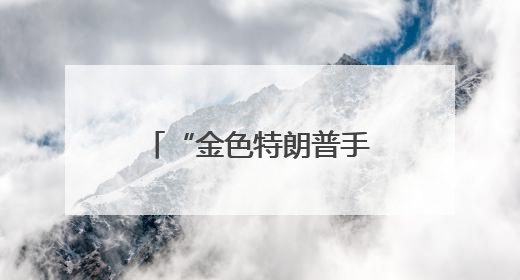 “金色特朗普手机”拟上市：美国制造、反映美国人价值观？质疑者：像天方夜谭