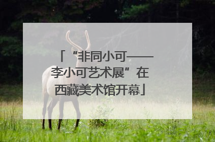 “非同小可——李小可艺术展”在西藏美术馆开幕