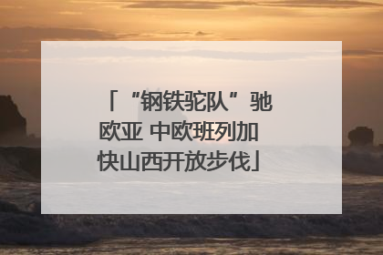 “钢铁驼队”驰欧亚 中欧班列加快山西开放步伐