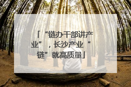 “链办干部讲产业”，长沙产业“链”就高质量