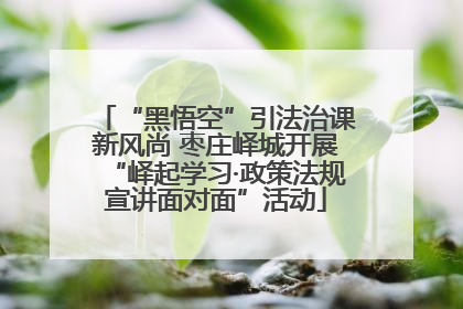 “黑悟空”引法治课新风尚 枣庄峄城开展“峄起学习·政策法规宣讲面对面”活动