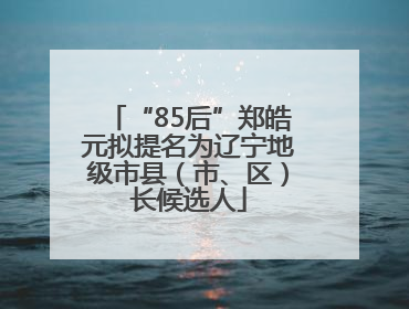“85后”郑皓元拟提名为辽宁地级市县（市、区）长候选人