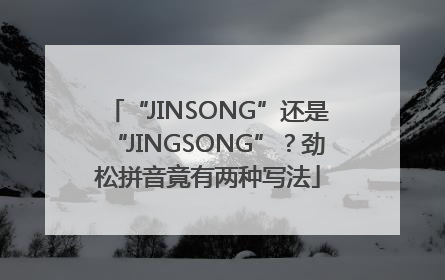 “JINSONG”还是“JINGSONG”？劲松拼音竟有两种写法