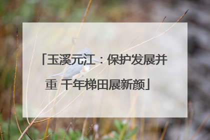 玉溪元江：保护发展并重 千年梯田展新颜