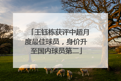 王钰栋获评中超月度最佳球员，身价升至国内球员第二