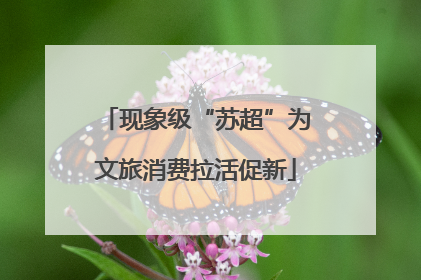 现象级“苏超”为文旅消费拉活促新
