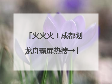火火火！成都划龙舟霸屏热搜→