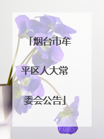 烟台市牟平区人大常委会公告