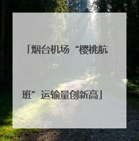 烟台机场“樱桃航班”运输量创新高