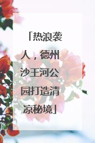 热浪袭人，德州沙王河公园打造清凉秘境