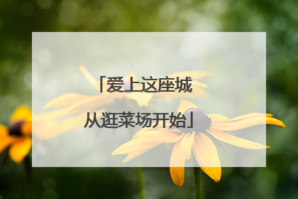 爱上这座城 从逛菜场开始