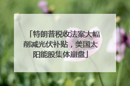 特朗普税收法案大幅削减光伏补贴，美国太阳能股集体崩盘