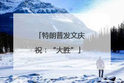 特朗普发文庆祝：“大胜”