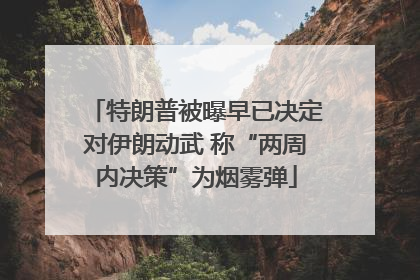 特朗普被曝早已决定对伊朗动武 称“两周内决策”为烟雾弹