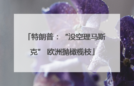 特朗普：“没空理马斯克” 欧洲抛橄榄枝