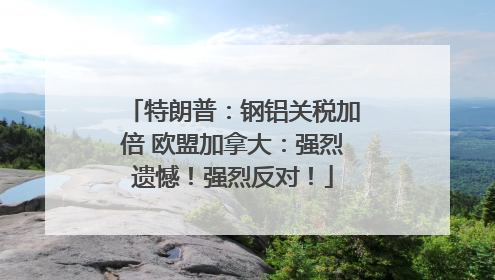 特朗普：钢铝关税加倍 欧盟加拿大：强烈遗憾！强烈反对！