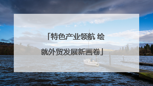 特色产业领航 绘就外贸发展新画卷