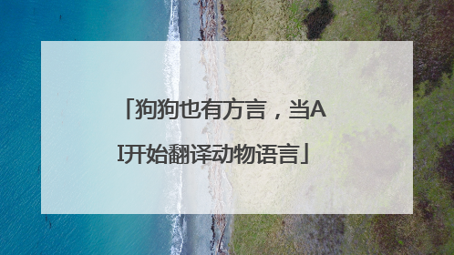狗狗也有方言，当AI开始翻译动物语言