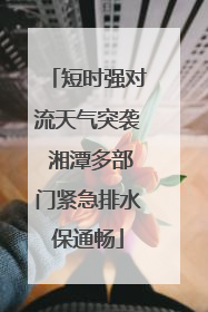 短时强对流天气突袭 湘潭多部门紧急排水保通畅