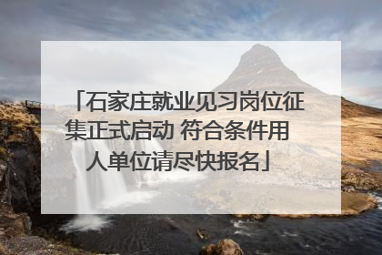 石家庄就业见习岗位征集正式启动 符合条件用人单位请尽快报名