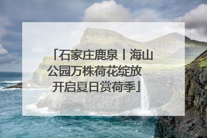 石家庄鹿泉丨海山公园万株荷花绽放 开启夏日赏荷季
