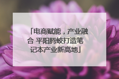 电商赋能，产业融合 平阳腾蛟打造笔记本产业新高地