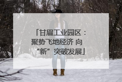 甘眉工业园区：聚势飞地经济 向“新”突破发展