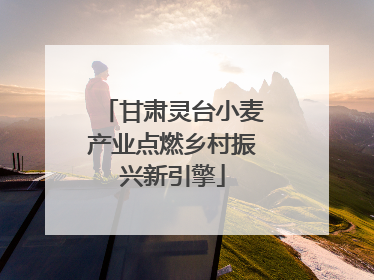 甘肃灵台小麦产业点燃乡村振兴新引擎