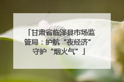甘肃省临泽县市场监管局：护航“夜经济” 守护“烟火气”