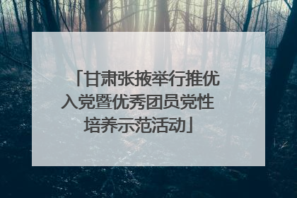 甘肃张掖举行推优入党暨优秀团员党性培养示范活动