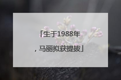 生于1988年，马丽拟获提拔