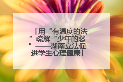 用“有温度的法”疏解“少年的愁”——湖南立法促进学生心理健康