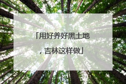 用好养好黑土地，吉林这样做