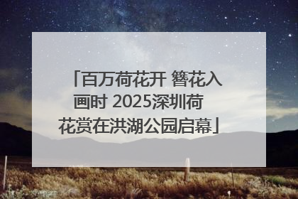 百万荷花开 簪花入画时 2025深圳荷花赏在洪湖公园启幕