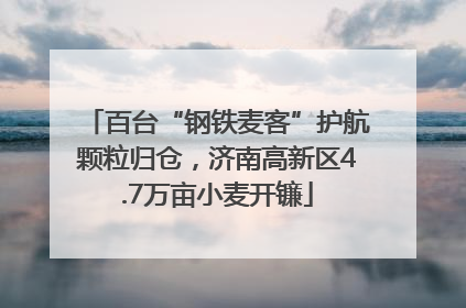 百台“钢铁麦客”护航颗粒归仓，济南高新区4.7万亩小麦开镰