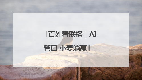 百姓看联播｜AI管田 小麦躺赢