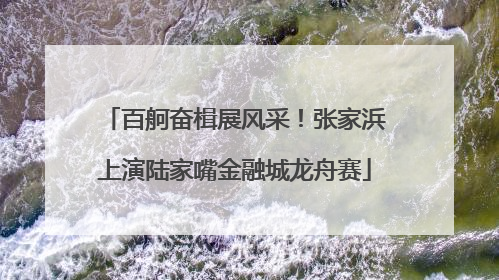 百舸奋楫展风采！张家浜上演陆家嘴金融城龙舟赛
