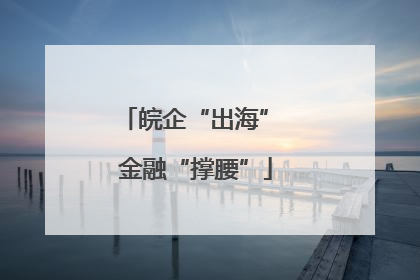 皖企“出海” 金融“撑腰”