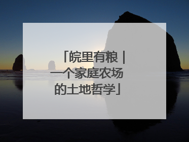 皖里有粮｜一个家庭农场的土地哲学