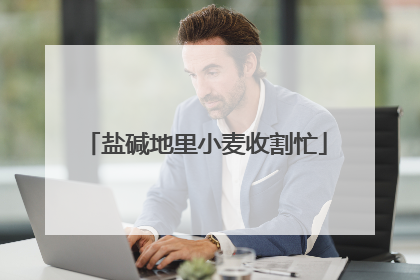 盐碱地里小麦收割忙