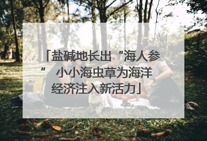 盐碱地长出“海人参” 小小海虫草为海洋经济注入新活力