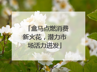 盒马点燃消费新火花，潜力市场活力迸发