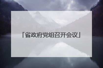 省政府党组召开会议