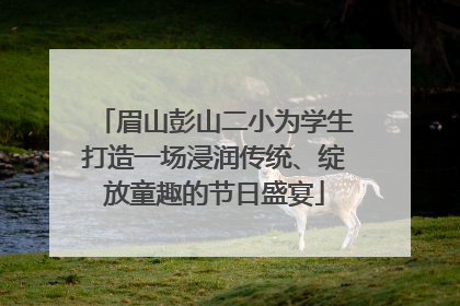 眉山彭山二小为学生打造一场浸润传统、绽放童趣的节日盛宴