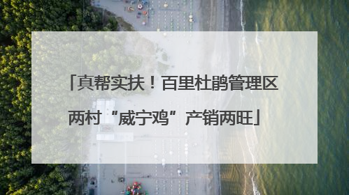 真帮实扶！百里杜鹃管理区两村“威宁鸡”产销两旺