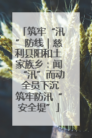 筑牢“汛”防线｜慈利县阳和土家族乡：闻“汛”而动 全员下沉筑牢防汛“安全堤”