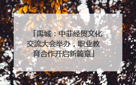 禹城：中菲经贸文化交流大会举办，职业教育合作开启新篇章